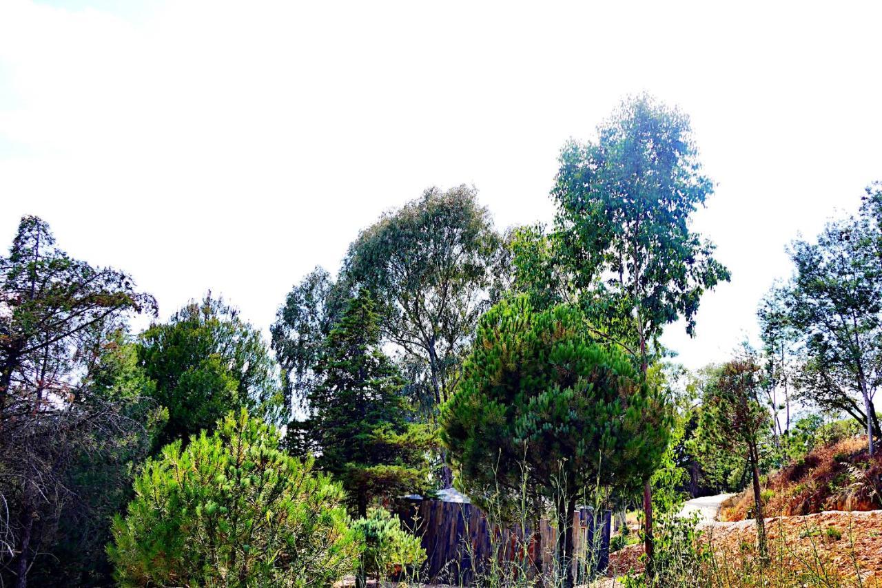 Herdade Clube Tiro モンフォルティーニョ エクステリア 写真