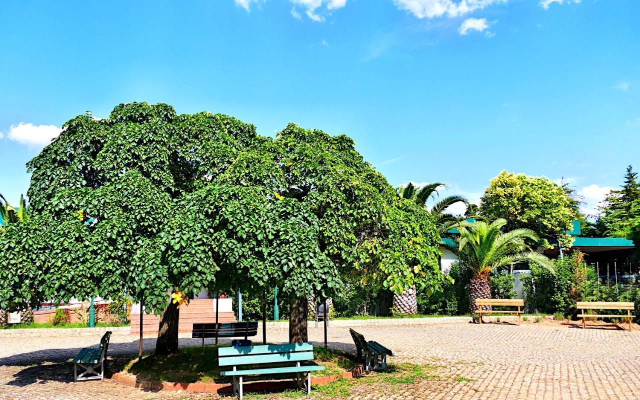 Herdade Clube Tiro モンフォルティーニョ エクステリア 写真