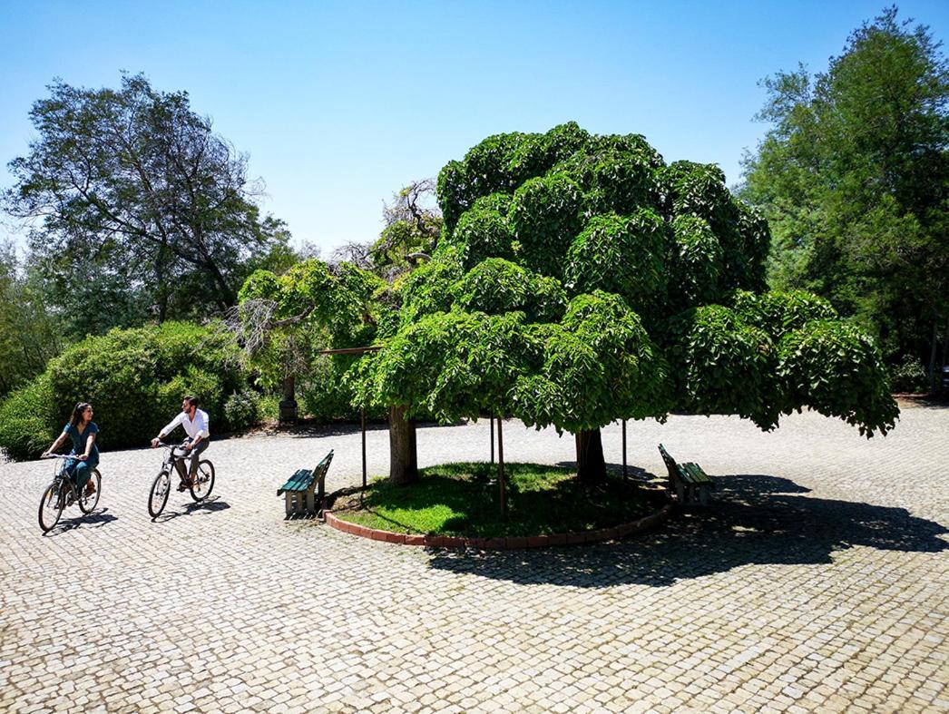 Herdade Clube Tiro モンフォルティーニョ エクステリア 写真